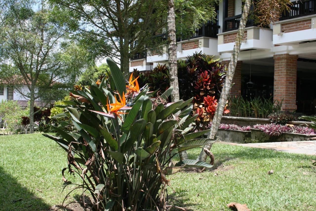 Finca Hotel La Esperanza Монтенегро Экстерьер фото